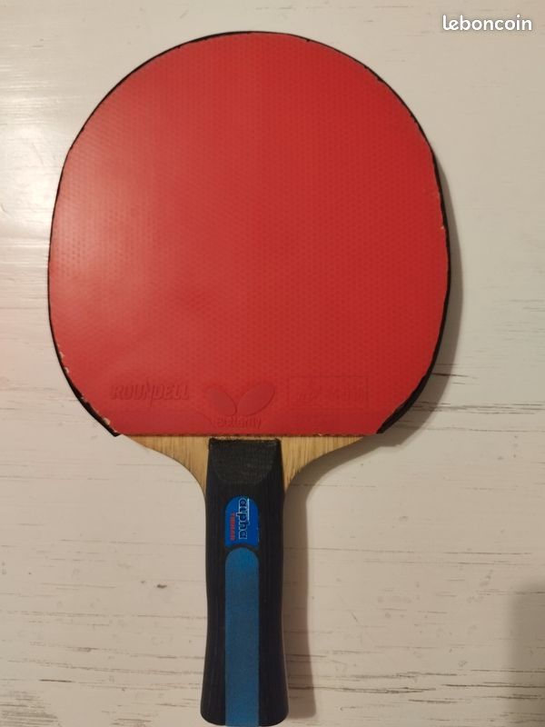 Batte de ping-pong pour apper la balle Tournoi de tennis de table en salle | Vecteur Premium