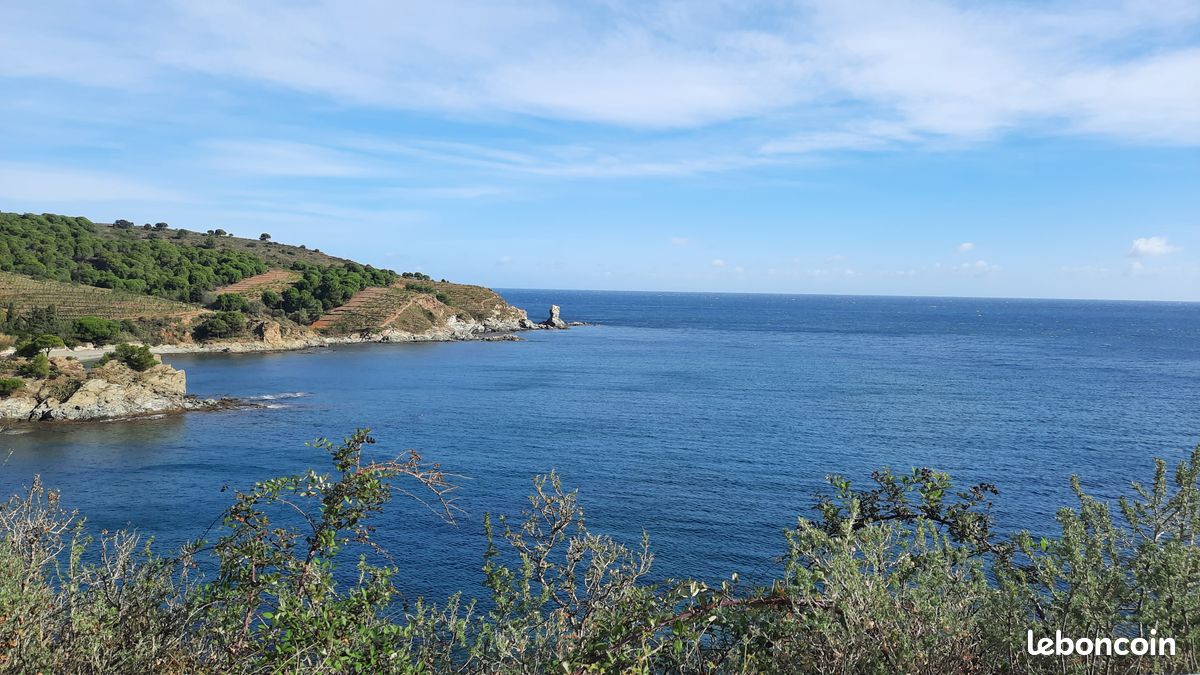 Appartement 1 pièce 34 m² · à Banyuls-sur-Mer · 34 m² · 165 000 €