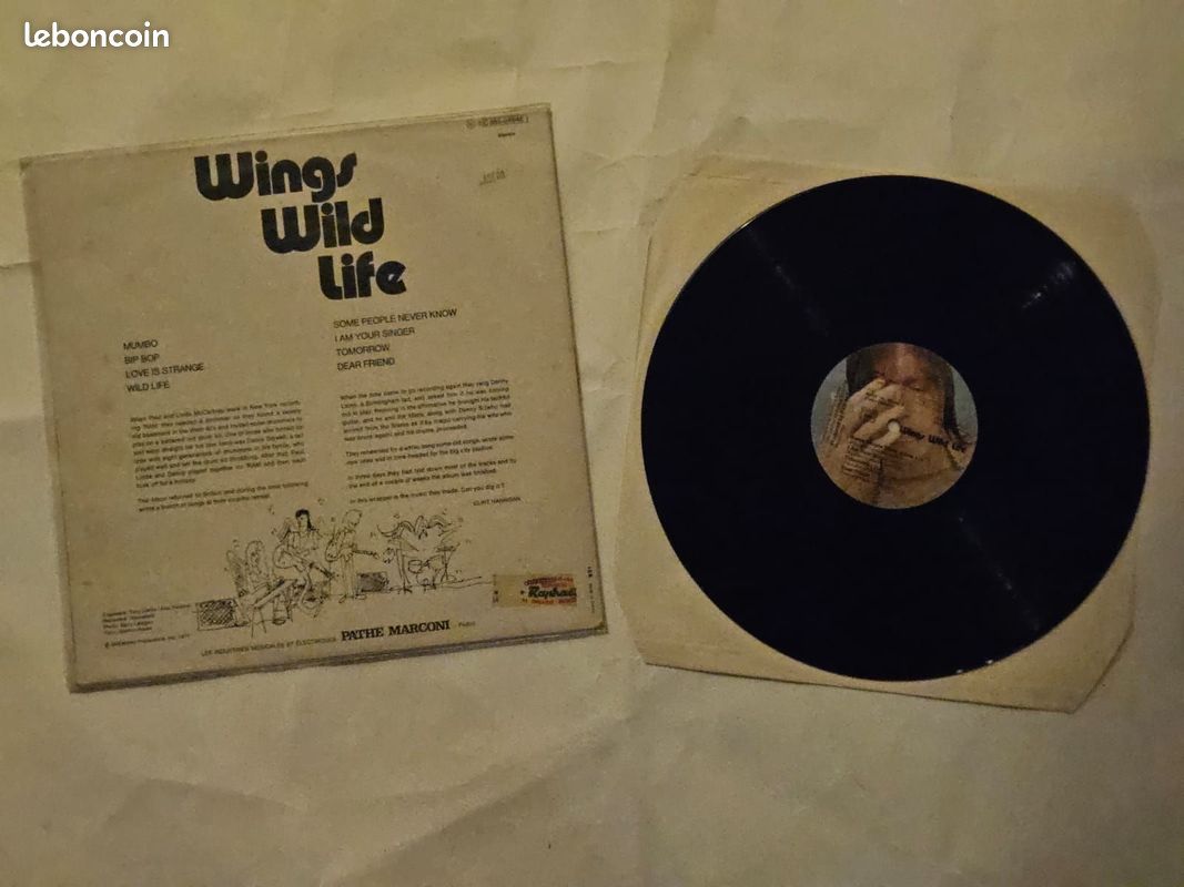 Disque vynile (image 2)