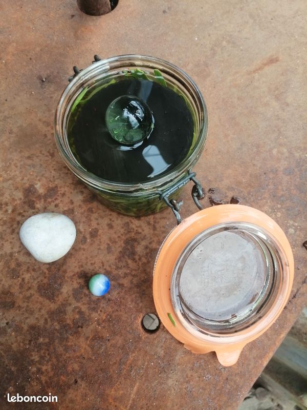Poids pour lactofermentation en bocaux (Miso, Kimchi, cornichons, ..., le parfait) et tire-poids/légumes (image 2)