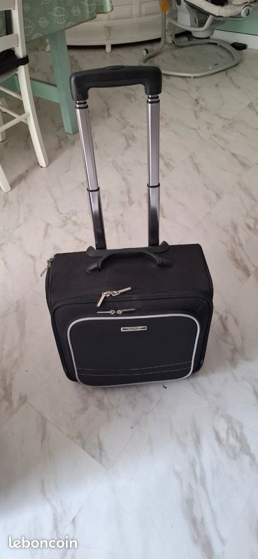 Mini valise (image 1)