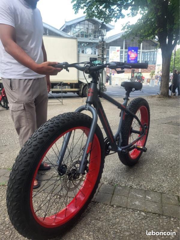 Fat Bike (image 3)