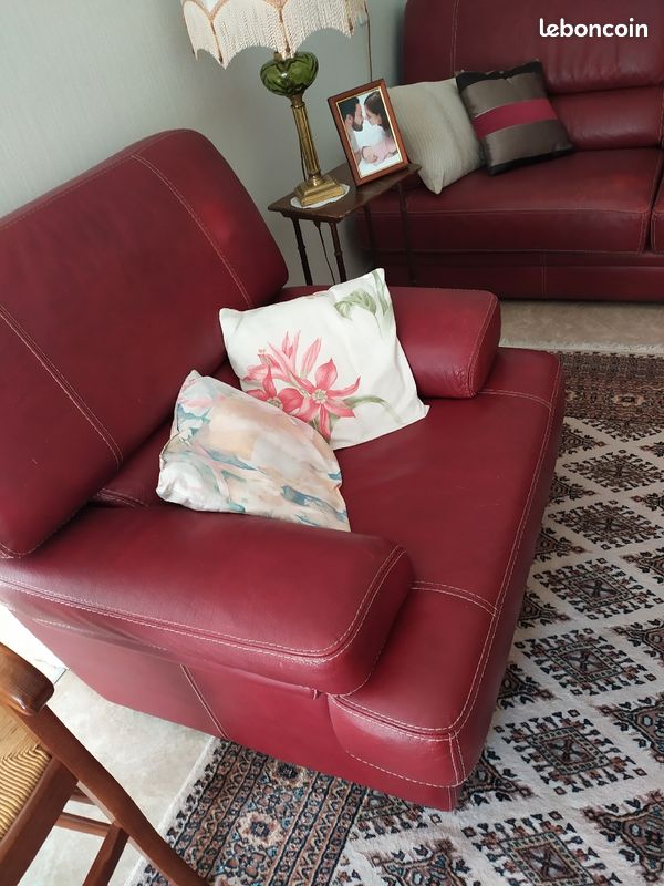 Salon en cuir (image 2)