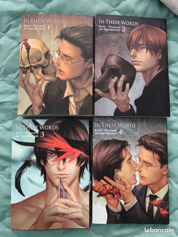 Intégrale in these words manga yaoi bl (image 1)