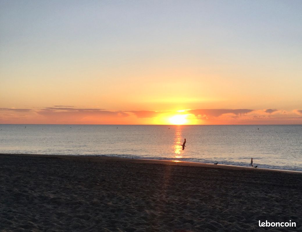 Appt 50m PLAGE, Vue MER, résidence calme (image 8)
