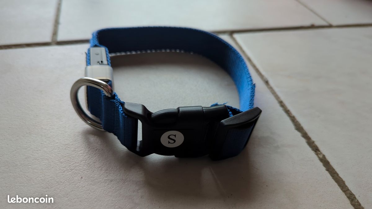 Collier pour chien lumineux (image 3)