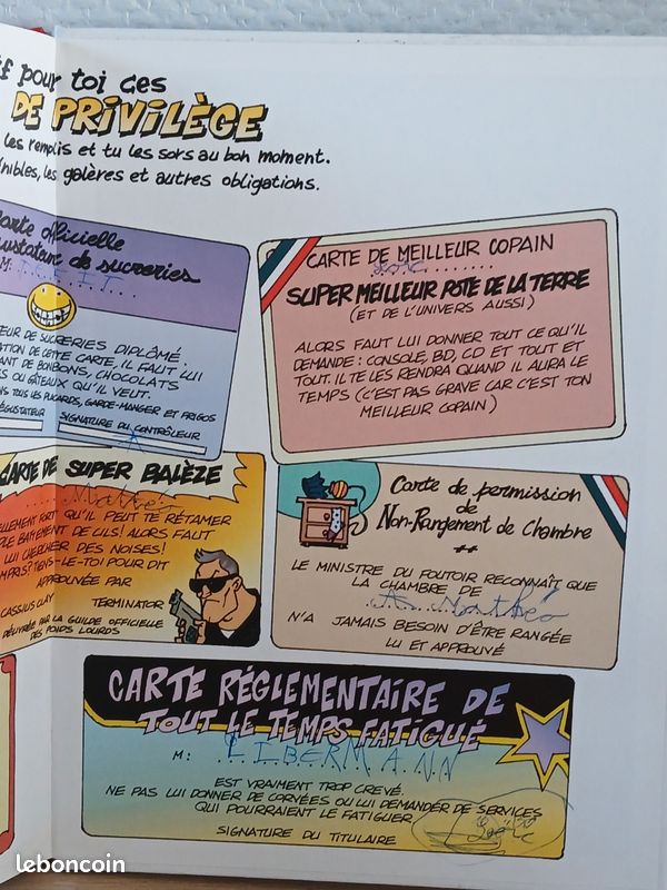 BD Le guide junior des garçons (image 13)