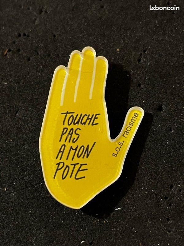 Touche pas à mon pote: : Desir-H: 9782246364214