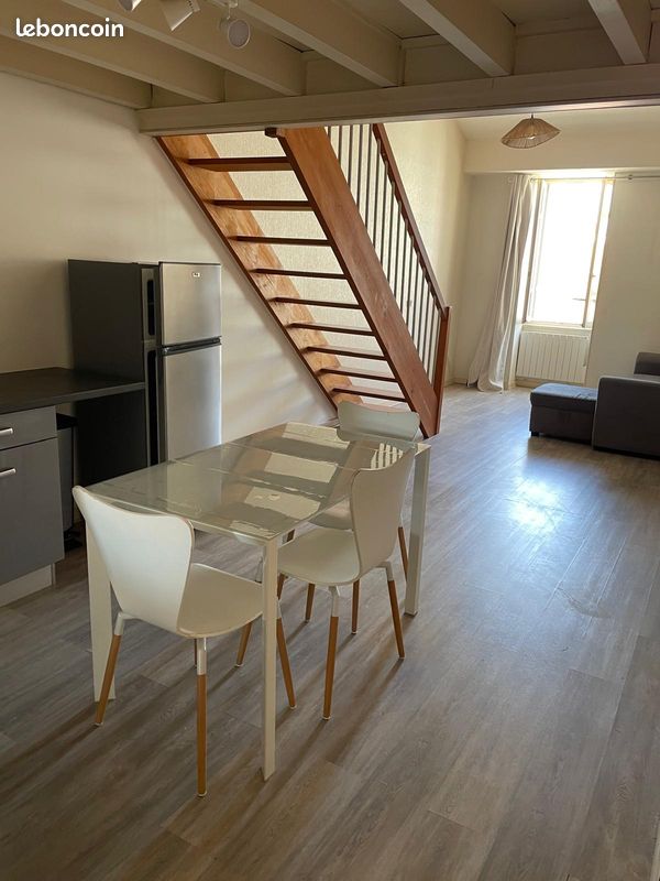 Appartement T1 bis duplex hyper centre bourg en Bresse dernier étage (image 4)