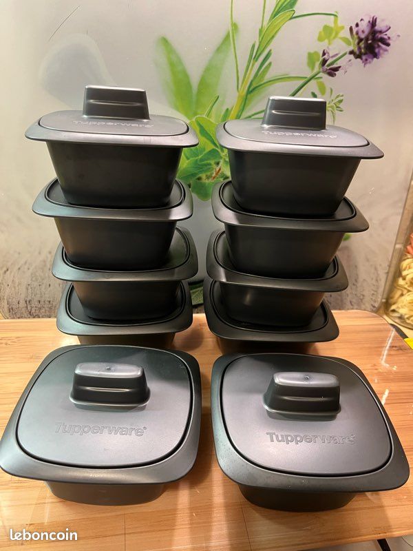 foie gras micro vap tupperware Foie gras a la malgache..50 tupperware micro vap