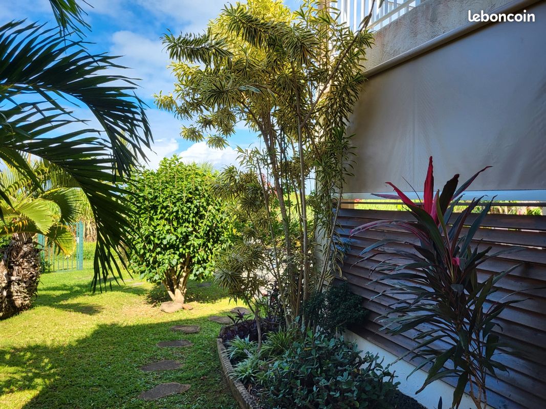 Location magnifique studio guadeloupe (image 2)
