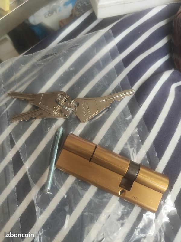 Cylindre vachette ASSA ABLOY 30/60,l (image 2)