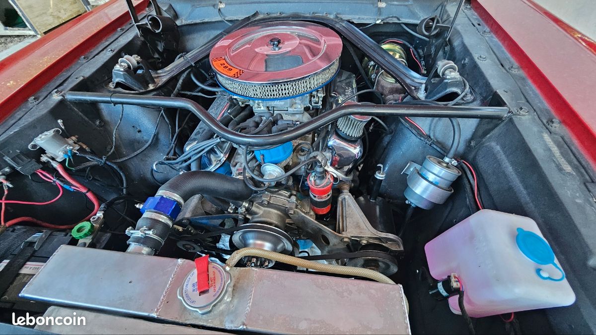 Mustang (image 3)