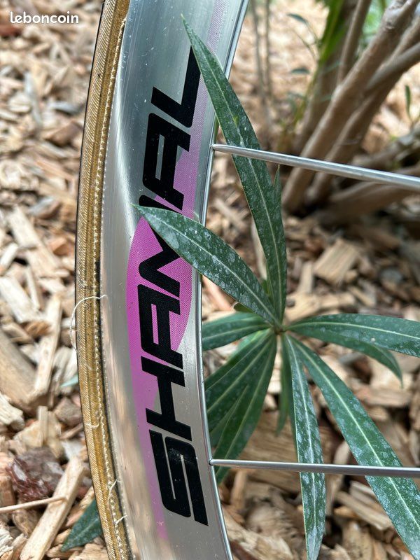 Colnago Master Olympic Campagnolo Record Titanium 8 Shamal (image 4)