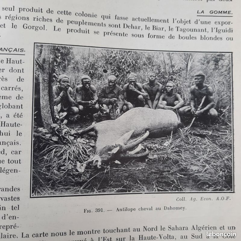Le domaine colonial Français. Afrique du Nord et Afrique Noire. 1929 (image 17)