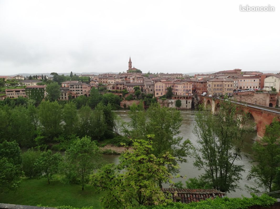 Appartement 1 pièce 30 m² · à Albi · 30 m² · 425 €