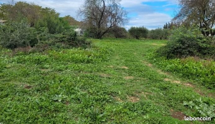Terrain 1 041 m² Isneauville