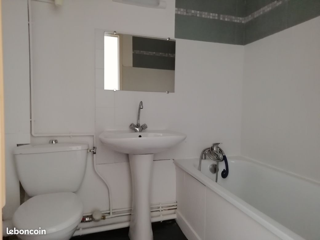 Appartement T2 Lumineux - Limoges 87000 (image principale 2)