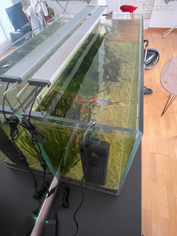 Aquarium+filtre+rampe LED (image 3)