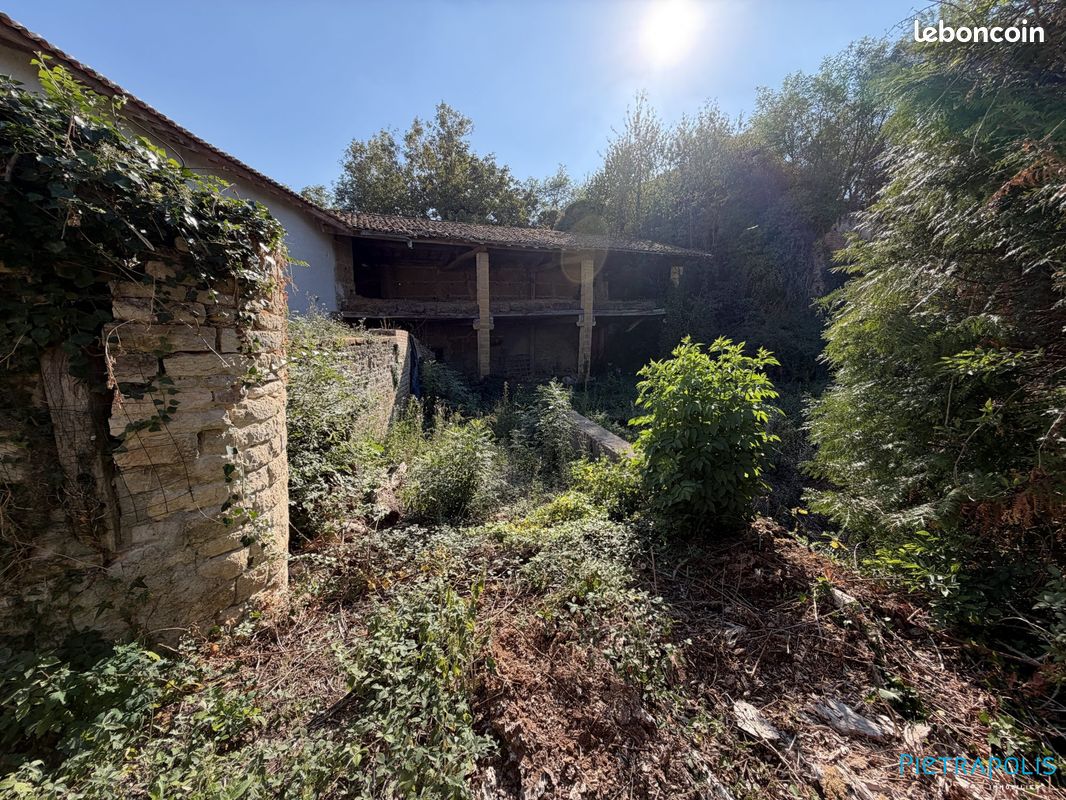 Maison 5 pièces 300 m² · à Francheleins · 300 m² · 230 000 €