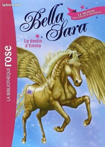 Livre le destin de Sara (image 1)