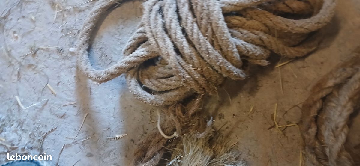 Corde (image 5)