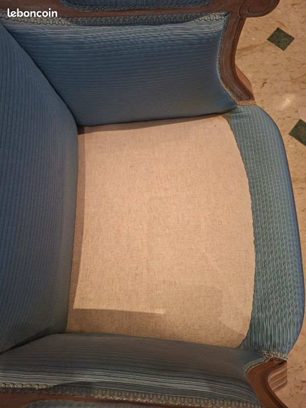 Paire de fauteuils Cabriolet Louis XVI- tissus bleu- coussin garniture plume (image 6)