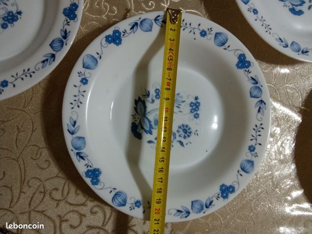 Lot de 5 assiettes en arcopal décor fleurs pour la maison pas cher et
