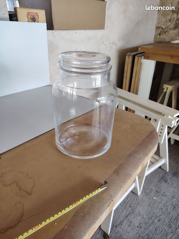 Terrarium en verre/bonbonne (image 1)