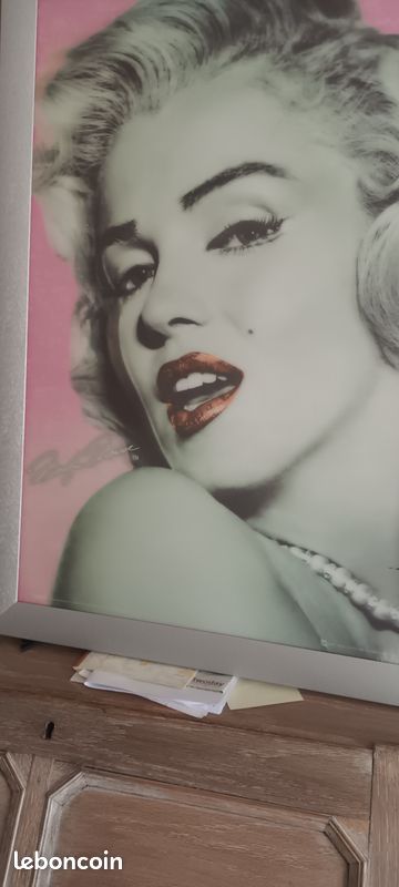 Tableau de marilyne monroe avec reflet (image 5)