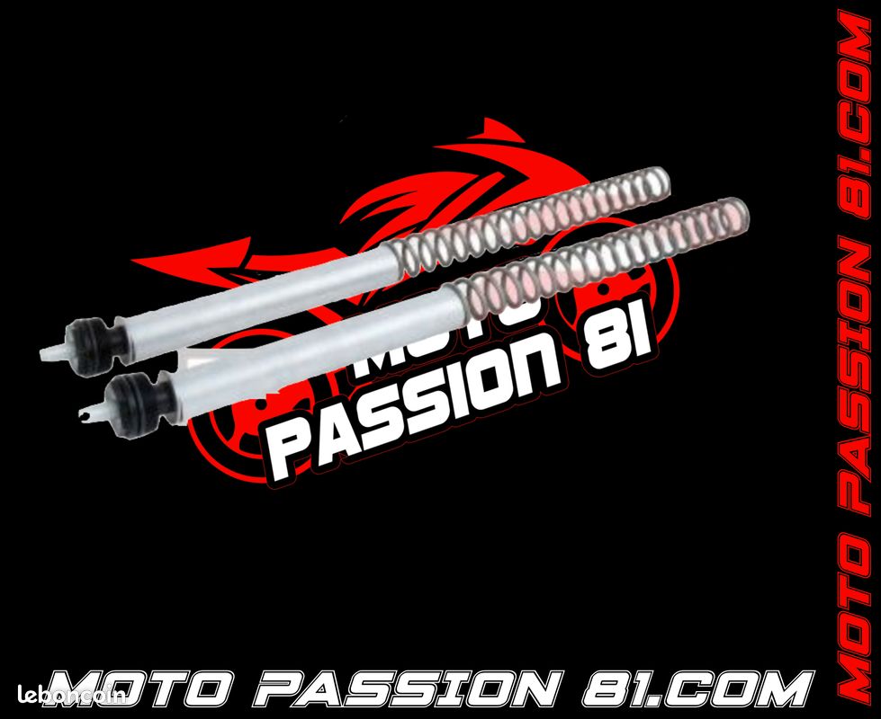 Kit ressort de fourche racing ohlins fsk160 (image 1)