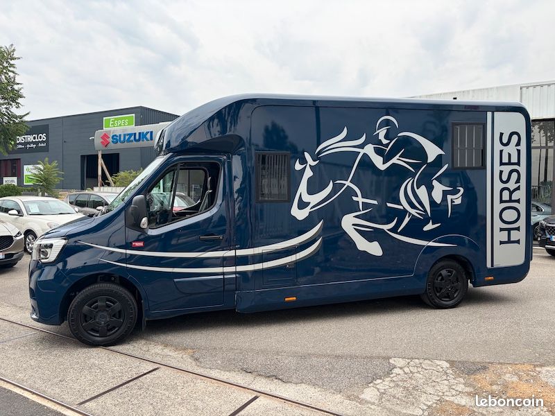 Renault master horsebox stx boite manuelle 2 chevaux (image 2)