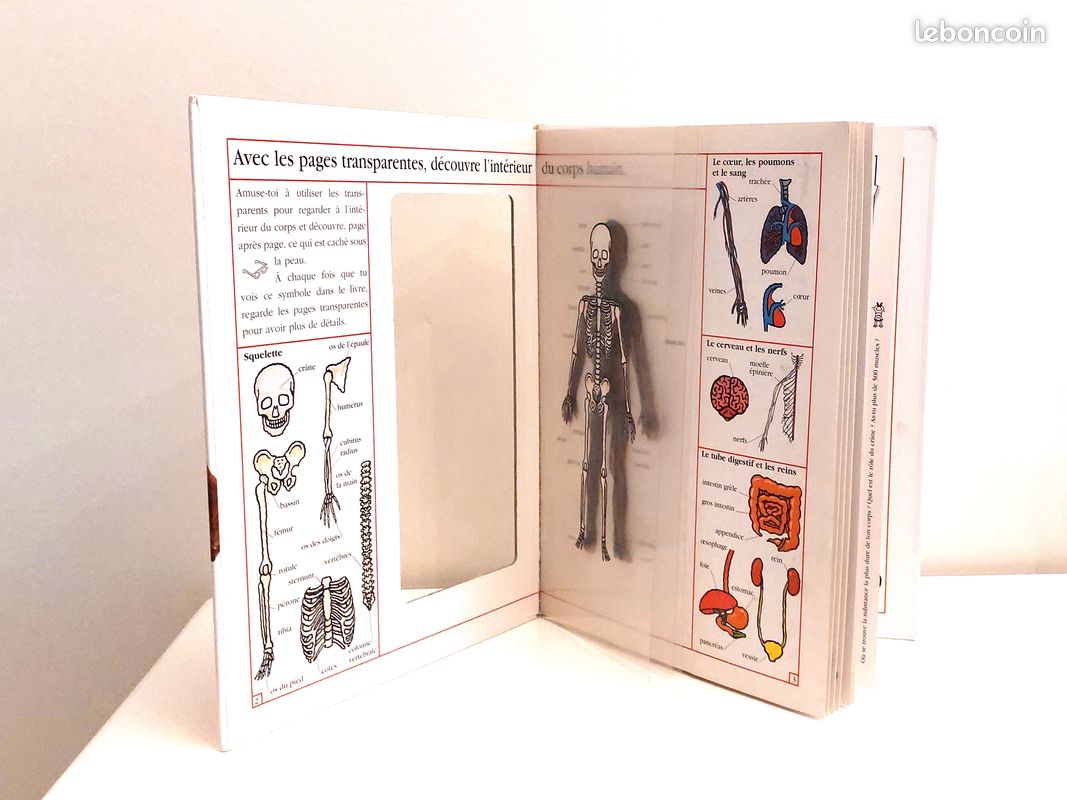 Mon grand livre du corps (image 2)
