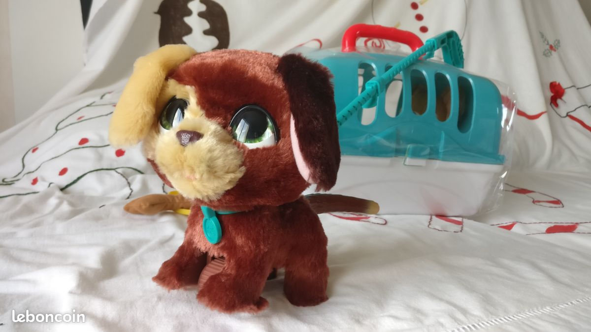 Chien interactif (image 1)