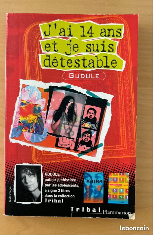 Livre - J'ai 14 ans et je suis détestable- GUDULE (image 1)