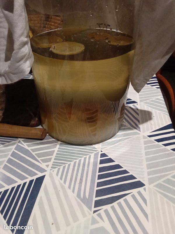 Don graines kefir (image 1)