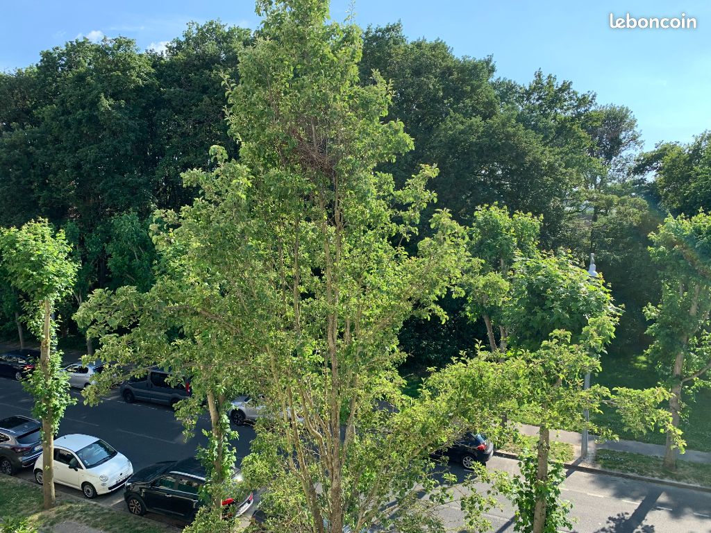 Appartement a louer sainte-genevieve-des-bois - 2 pièce(s) - 42 m2 - Surfyn