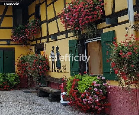 Maison 16 pièces 333 m²