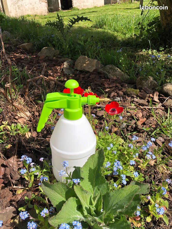 Pulvérisateur à pression 2,5l avec buse en métal (image 5)