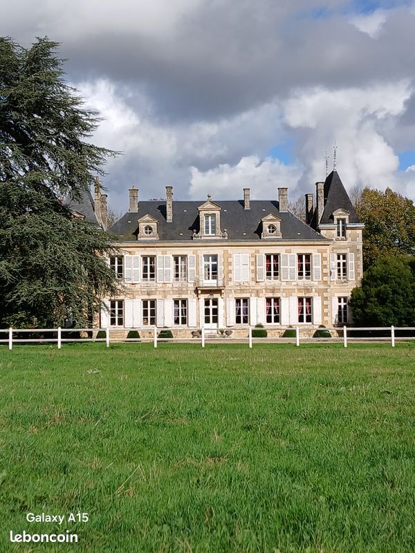 Château 16 couchages adultes + 4 enfants (image 1)