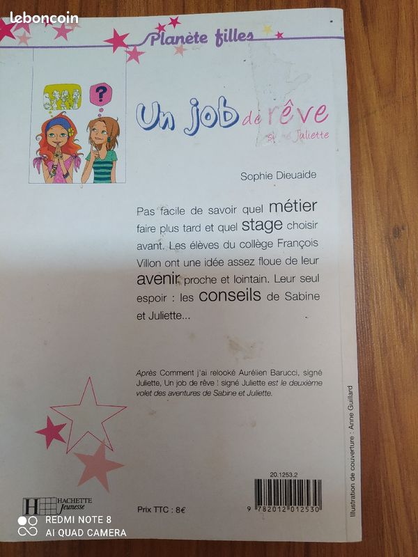 Livre un job de rêve signé Juliette (image 3)