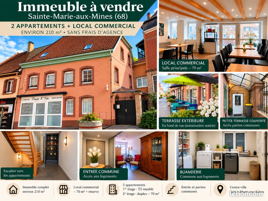 Immeuble 5 pièces 210 m² · à Sainte-Marie-aux-Mines · 210 m² · 395 000 €