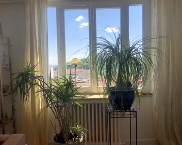 Appartement 590 000 € - 102 m²