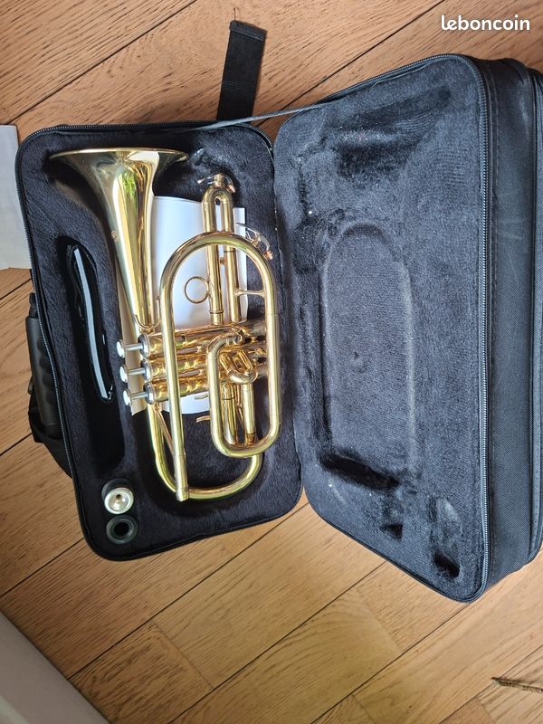 Cornet à piston (image 1)