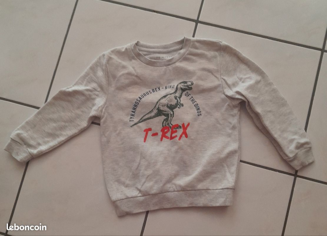 Sweat garçon 3/4 ans (image 3)