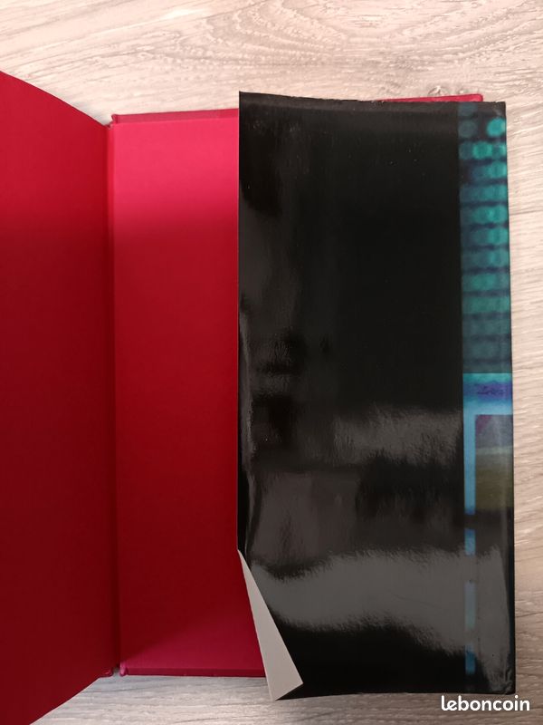 Roman en japonais Lignes The Line ライン Ryu Murakami (image 10)