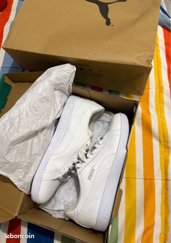 Puma (image 4)
