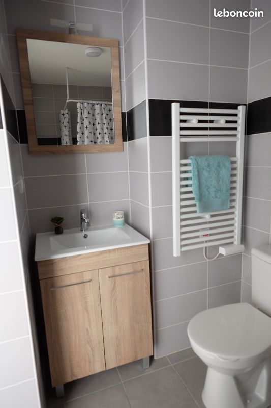 Studio 1 pièce 21 m² - Isle 87170 (image principale 3)