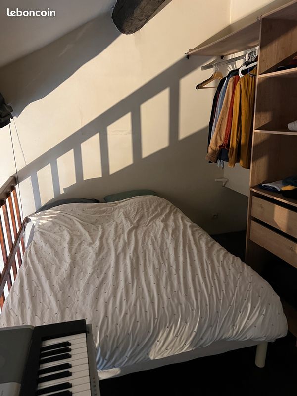 Appartement Croix-Rousse (image 2)