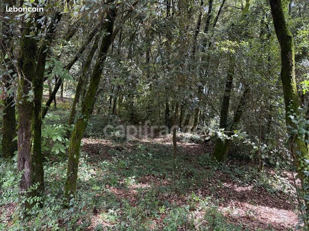 Terrain 1 032 m² Cendras